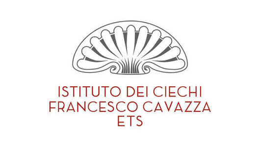 Iniziativa formativa per docenti e personale educativo che hanno in carico alunne/i con disabilità visiva